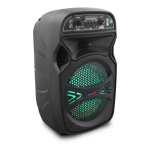 Big Sound Wireless Speaker