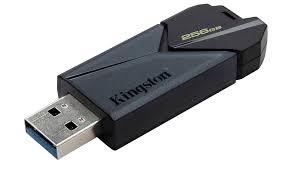 Kingston Technology USB Flash Drive 256GB Download 2025 09 23t195735.430